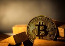 The 5 Advantages and Disadvantages of Bitcoin The 5 Advantages and Disadvantages of Bitcoin
