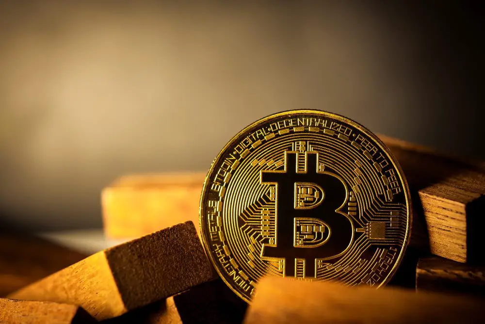 Advantages and Disadvantages of Bitcoin: The photo illustrates a solitary Bitcoin towering among wooden blocks, symbolizing its pioneering status and the unstable nature of its journey.